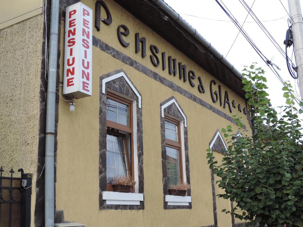 Pensiunea Gia Sighisoara Ngoại thất bức ảnh